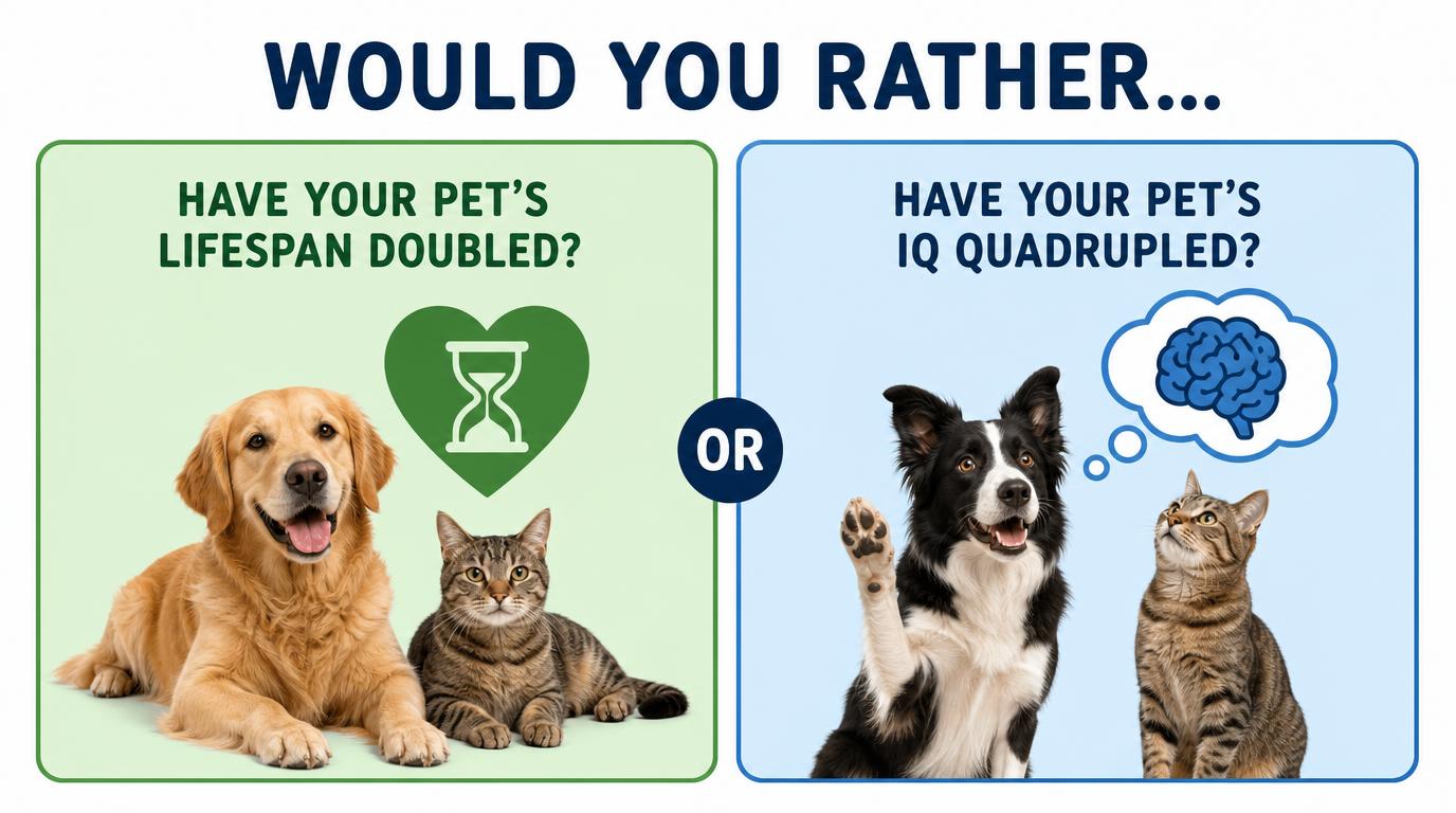 Would you rather have your pets lifespan doubled, or their IQ quadrupled?